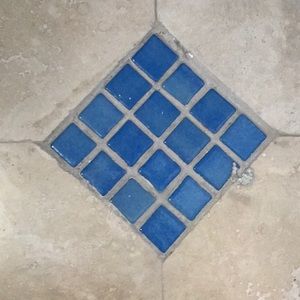 Meet your Posher, Dina